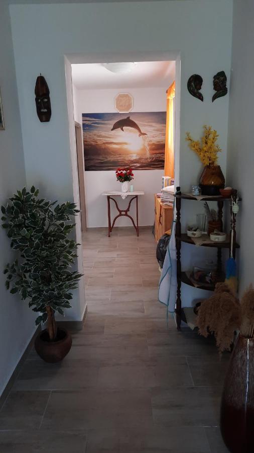 Apartment Pinoapplosinj 베리로신즈 외부 사진